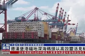 万博app-汉堡引援